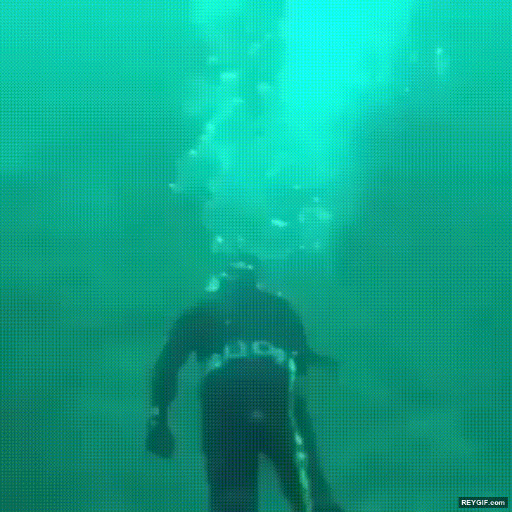 GIF animado (96289) Los mas aterrador que te puede pasar mientras haces submarinismo