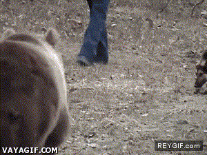GIF animado (91410) Los perros policia son valientes pero hasta ellos tienen sus limites