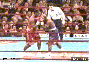 GIF animado (91244) Los reflejos de un arbitro de boxeo