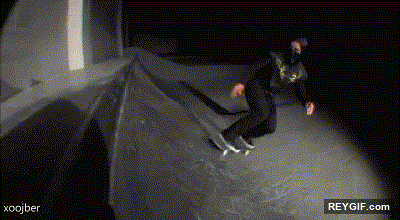 GIF animado (94130) Maestro del skate haciendo lo que mejor sabe