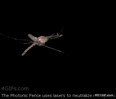 GIF animado (93007) Matar a un mosquito con un laser shut up and take my money