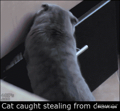 GIF animado (93405) Me parecio haber pillado de marron a un lindo gatito