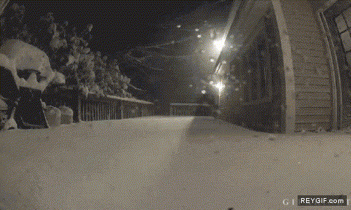 GIF animado (90718) Media hora de nieve en canada