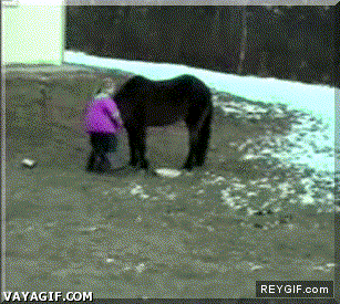 GIF animado (91133) Metodo alternativo para subirse a un pony