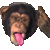 GIF animado (104857) Mono loco