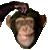 GIF animado (104782) Mono preguntando