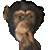 GIF animado (104764) Mono sucio
