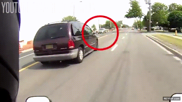 GIF animado (94492) Motorista ayudando a un pajaro que ha sufrido un accidente