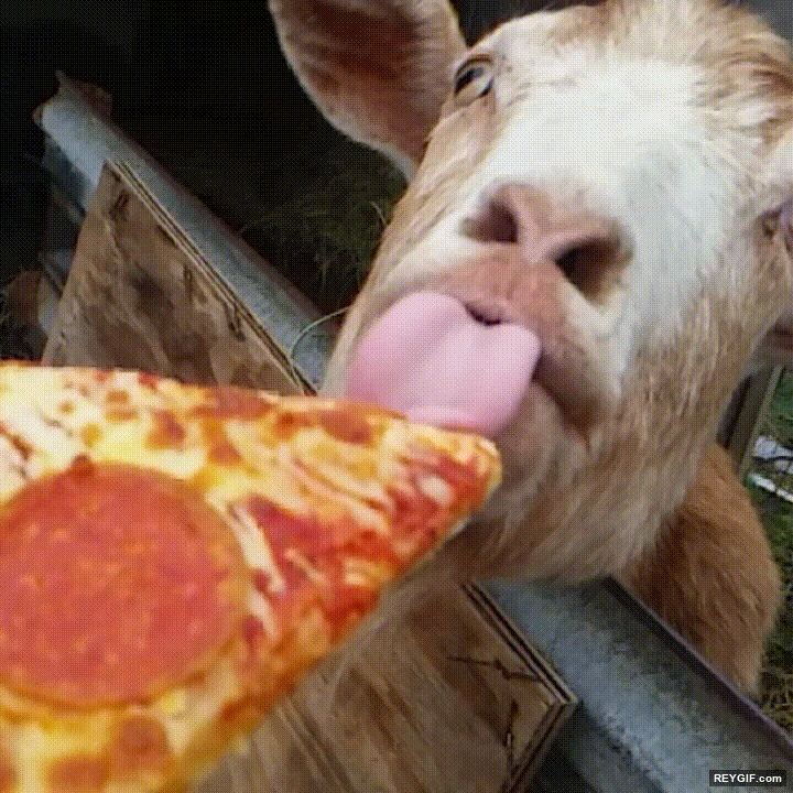 GIF animado (95431) Nadie puede decirle que no a un buen trozo de pizza
