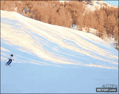 GIF animado (93885) Ni mi propio esqui quiere estar conmigo