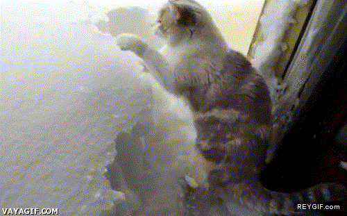 GIF animado (91763) No os preocupeis que yo despejo de nieve la entrada