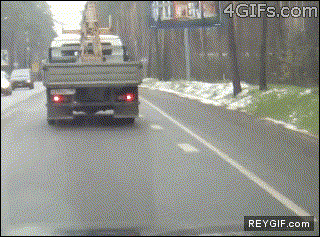 GIF animado (92122) Oh no un coche mejor me tiro hacia el para estar a salvo