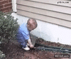 GIF animado (92857) Paco te dije que el nino no podia regar las plantas