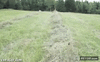GIF animado (92970) Para que gastar dinero en un tractor consigue una buena moza que le guste el campo