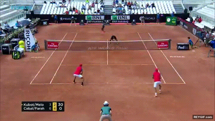 GIF animado (96227) Partido de tenis interrumpido por culpa de un gato