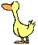 GIF animado (105326) Pato