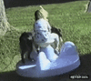 GIF animado (92534) Perro compenetrado
