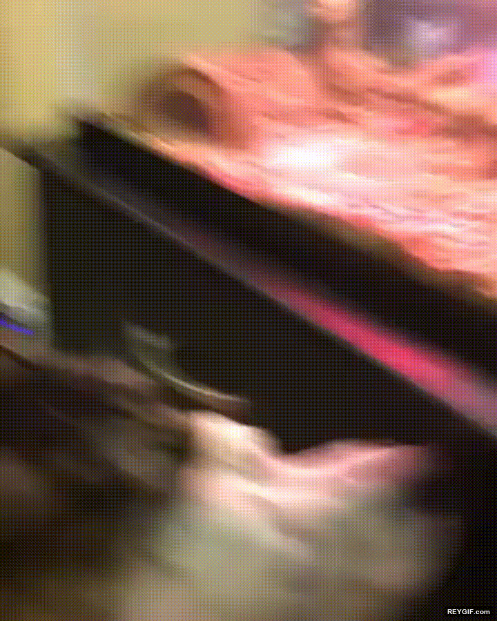 GIF animado (95442) Perro y gato amigos inseparables