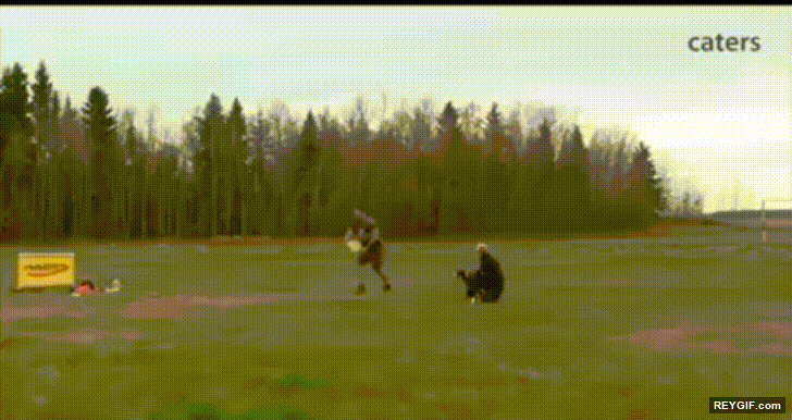 GIF animado (96328) Perros que no tienen rival en el arte de atrapar un frisbee