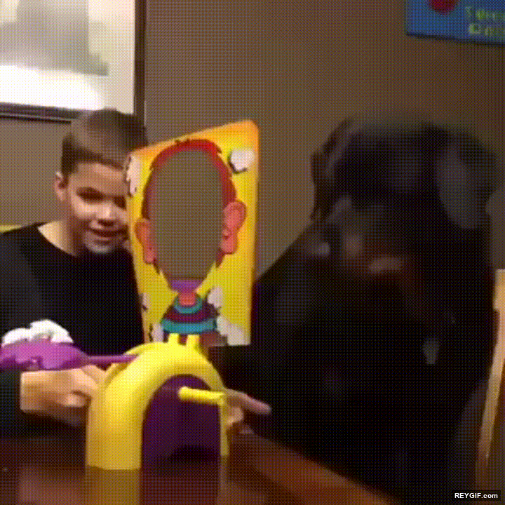 GIF animado (95630) Perros que tambien quieren participar en los juegos de familia