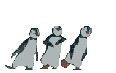 GIF animado (104814) Pingüinos