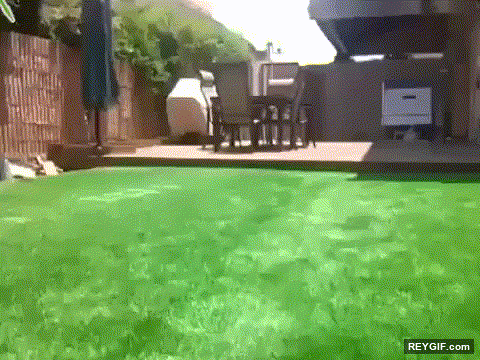 GIF animado (95558) Piscina escondida en el jardin quieres una y lo sabes