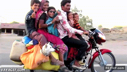 GIF animado (91498) Que las motos son para dos ocupantes como maximo en la india no