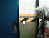 GIF animado (91307) Que te den un susto y romperte la cara contra el marco de la puerta