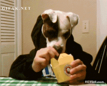 GIF animado (91855) Quien dijo que a los perros no les gustaba la comida china