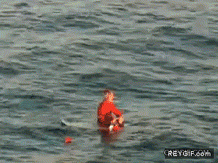 GIF animado (91257) Quieres surfear pero no hay olas cogete un tiburon