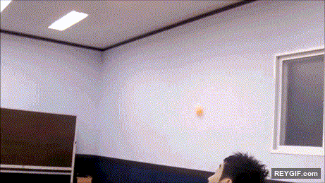 GIF animado (94502) Recopilatorio de alucinantes golpes de ping pong