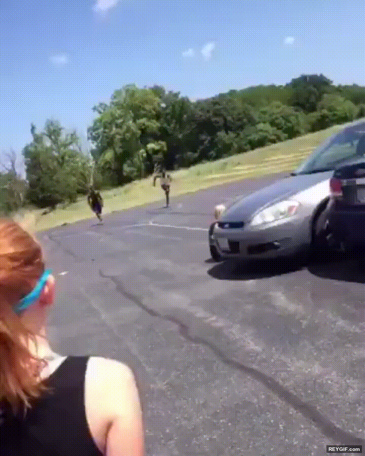 GIF animado (95548) Saltando de forma perfectamente sincronizada