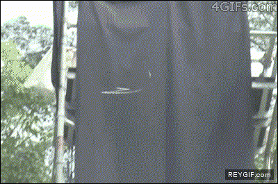 GIF animado (93026) Serpientes voladoras la siguiente mision espacial a marte cuando es
