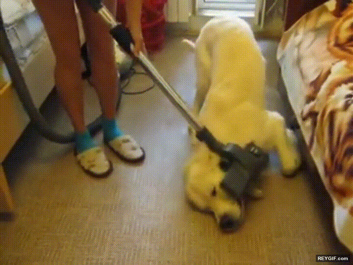 GIF animado (95485) Sigue aspirandome el lomo humano