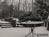 GIF animado (90936) Timelapse de la ultima tormenta de nieve