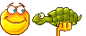 GIF animado (104776) Tortuga cari&ntilde;osa