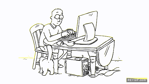 GIF animado (91963) Trabajar con el ordenador y tener gato mala combinacion