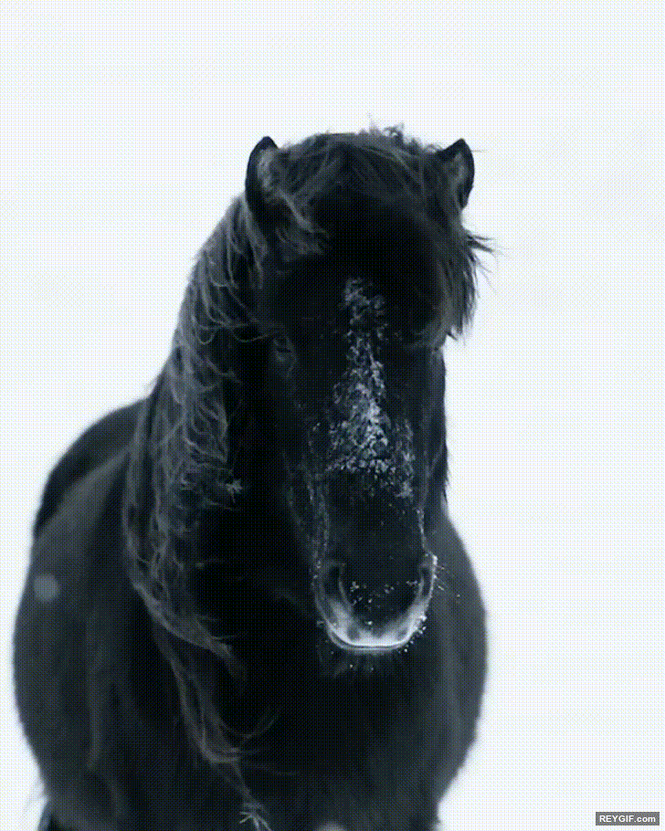 GIF animado (96161) Tu cara cuando te miras en el espejo y por unos segundos te cuestionas el sentido de la vida