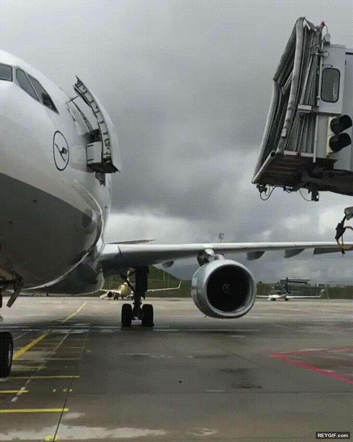GIF animado (95821) Ultimo aviso para el pasajero del vuelo f 2213