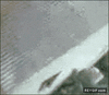 GIF animado (90158) Un salto poco afortunado
