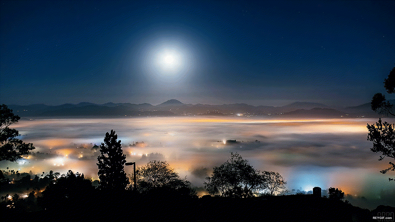 GIF animado (96024) Una impresionante noche de niebla en san diego