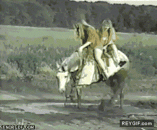 GIF animado (91486) Veo que llevais unos bonitos vestidos para montar a caballo seria una pena que