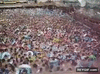 GIF animado (93661) Y ahora ven llorando diciendo que las playas y piscinas espanolas estan muy llenas