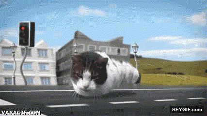 GIF animado (94960) Y asi es internet gatos por todos lados