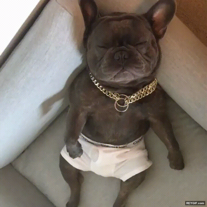 GIF animado (95496) Yo no me atreveria a despertarlo