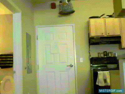 Imagen GIF de Forma de trollear a tu companero de piso animado